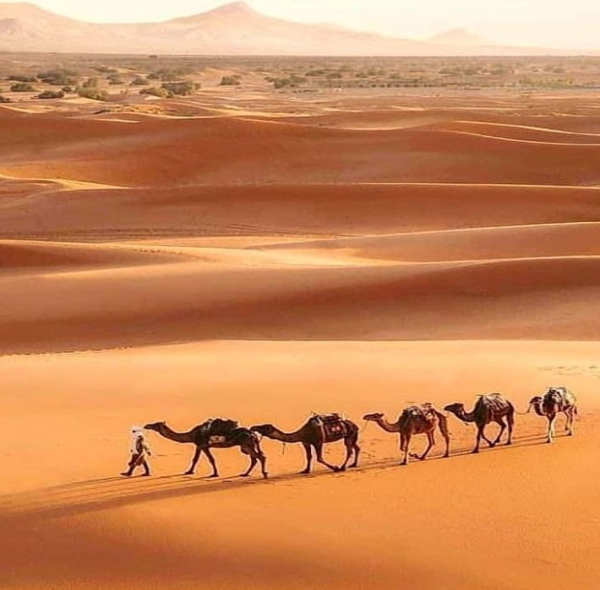 5 Days Tour From Tangier To Desert