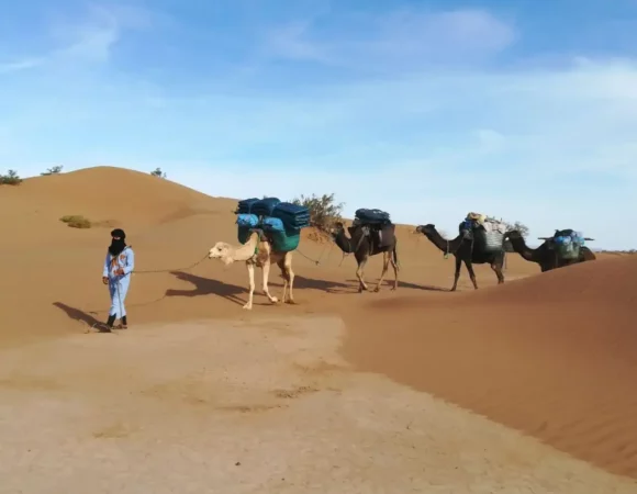 Trekking One Night in Desert with Camels